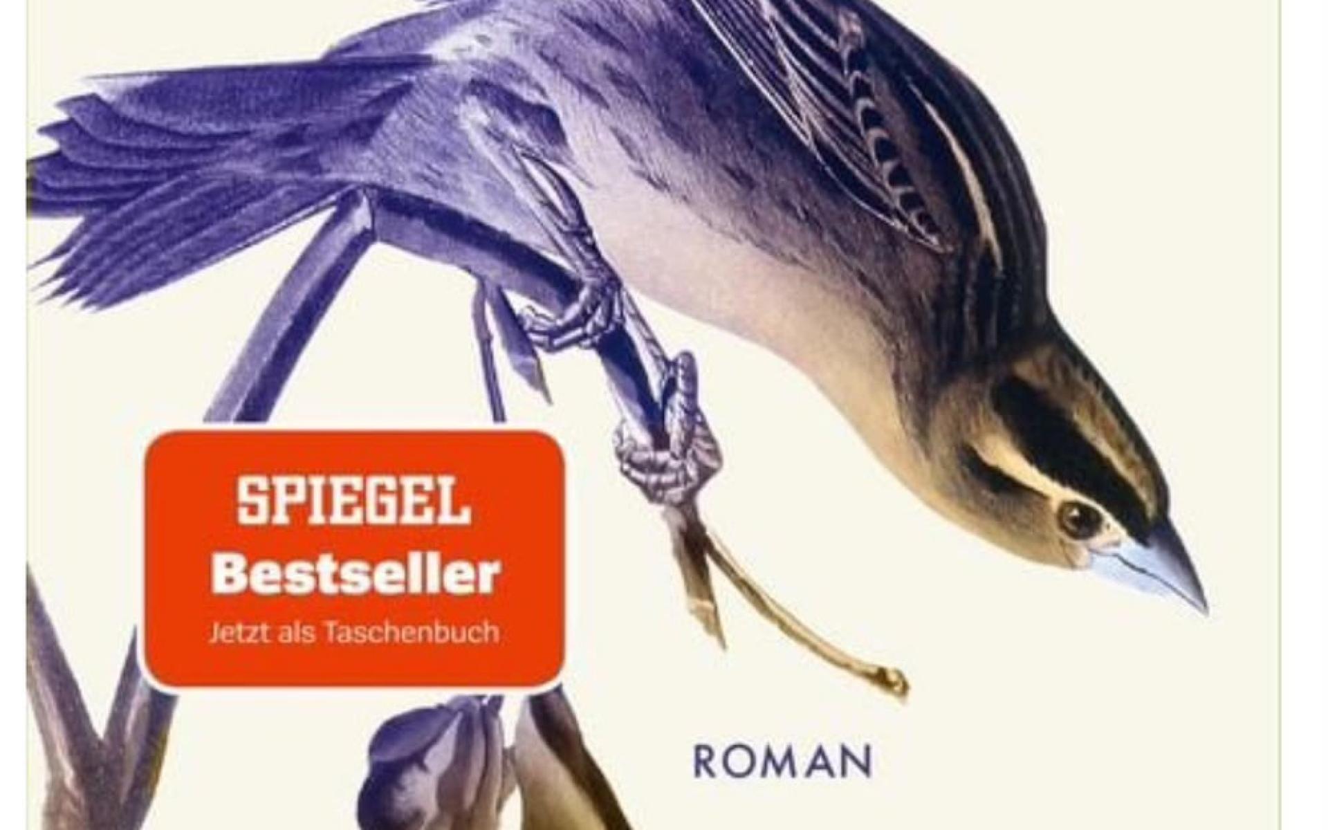 Cover Iris Wolff Lichtungen