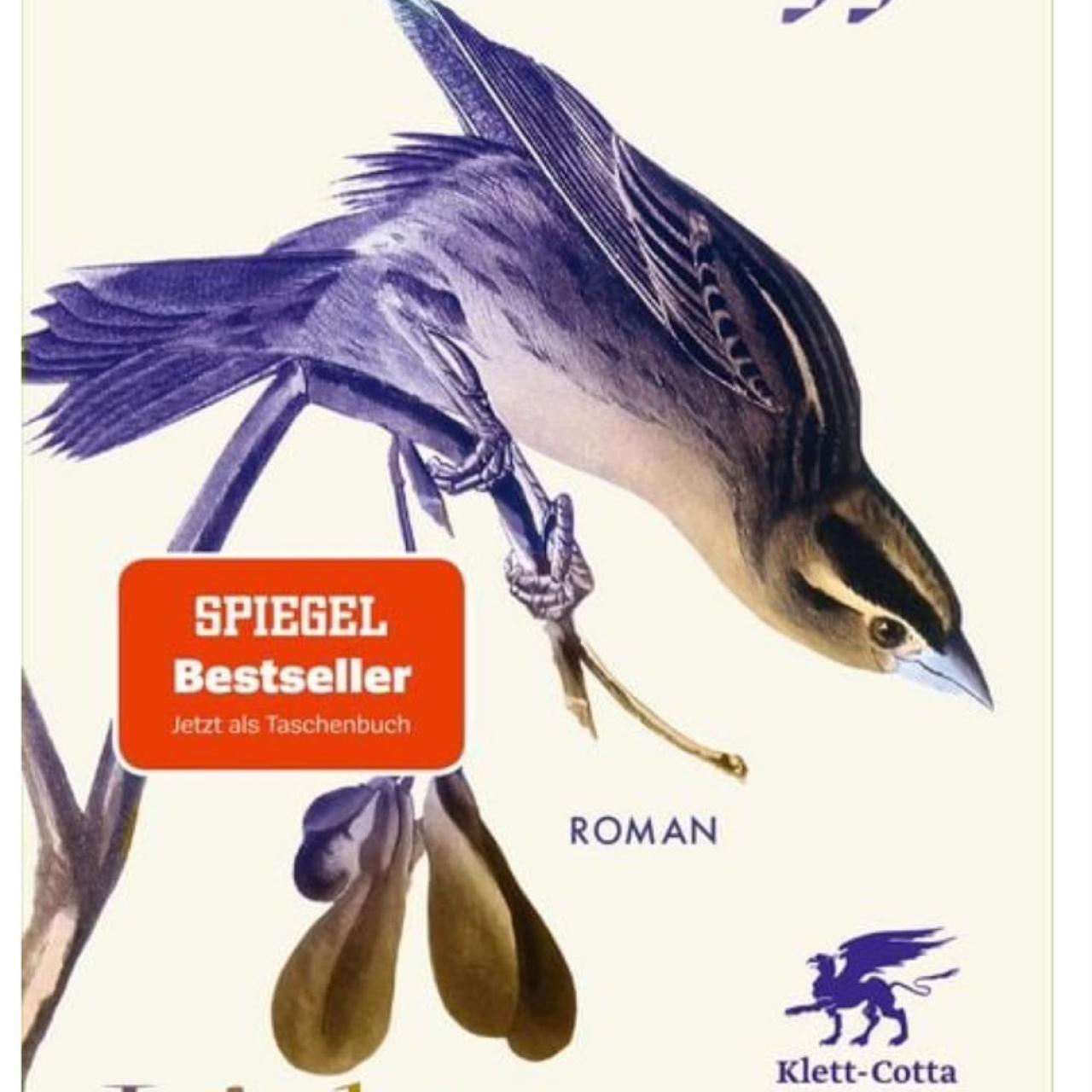 Cover Iris Wolff Lichtungen